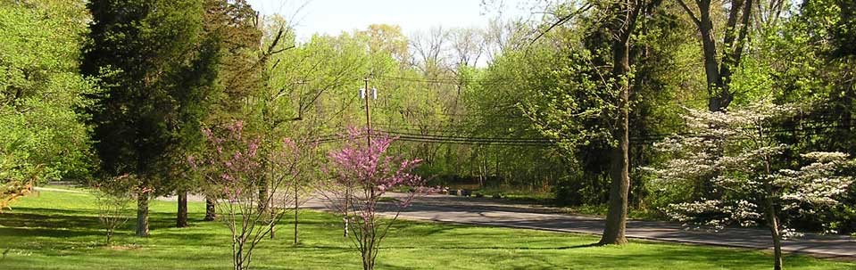 P4290007