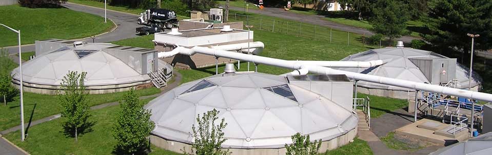 P4290013